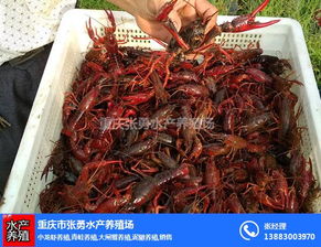 重慶市南川區(qū)張勇水產(chǎn)養(yǎng)殖場(chǎng)